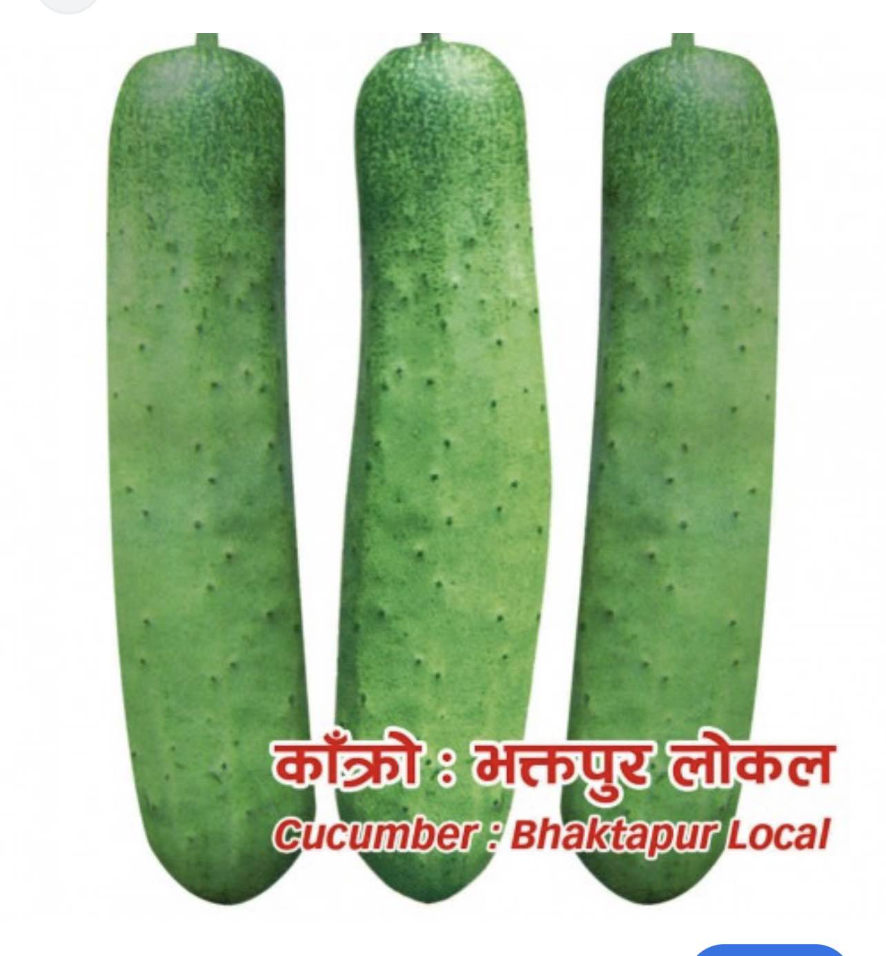 daraz.com.np