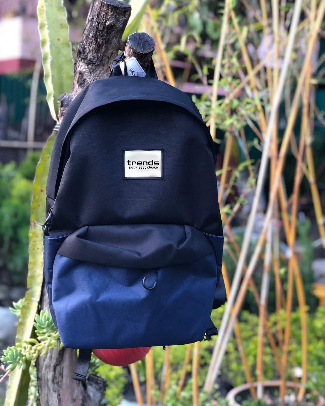 Trends Blue-Black Capsule Unisex Backpack | Daraz.com.np