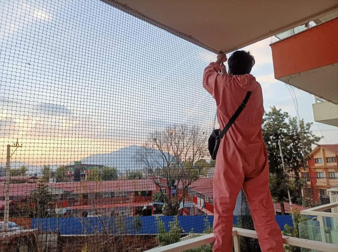 Ensuring Safety and Bird Control in Akot Road, Akola – Complete Solutions for Pigeon and Child Safety