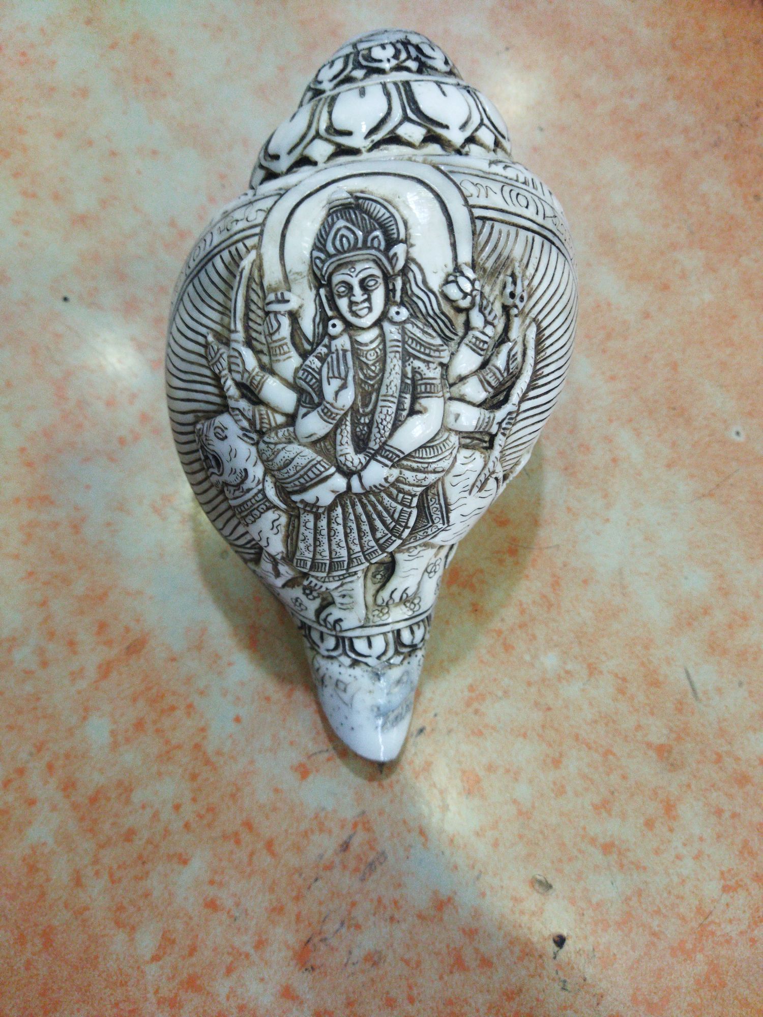 White/Black Original Buddha Sankha Round 11Inch, Blowing Conch