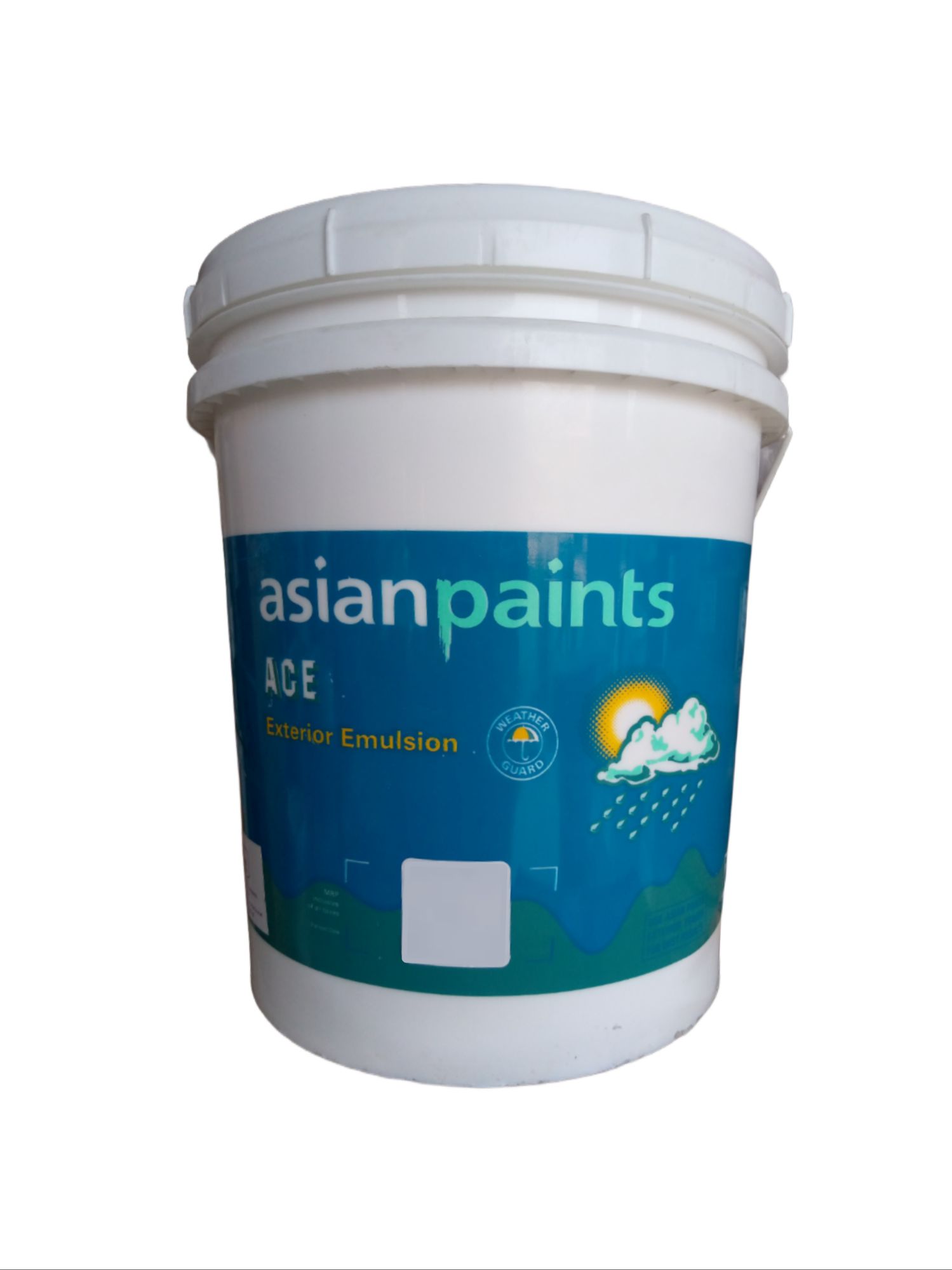 Asian on sale ace paint